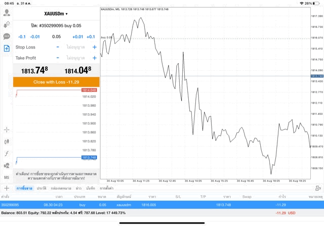 การลงทุนผ่านเน็ตเล่นทองออนไลน์กับ Exnesd