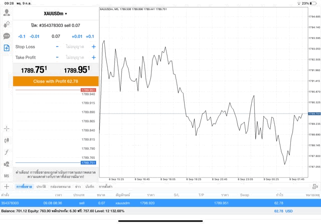 Mt4 meta trader 4 xauusd online trading