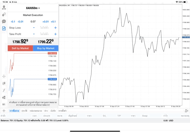 mt4 การเล่นทองผ่านเน็ต